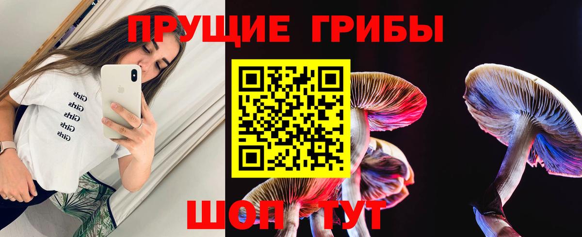 Галлюциногенные грибы Psilocybine cubensis Избербаш